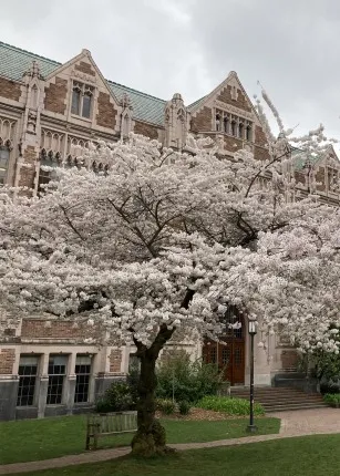 前世で書いた鬼シナリオの回収は、サポート令嬢の私にかかっている